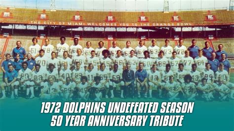 miami dolphins season by record